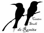 DeRomita