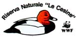 Le Cesine